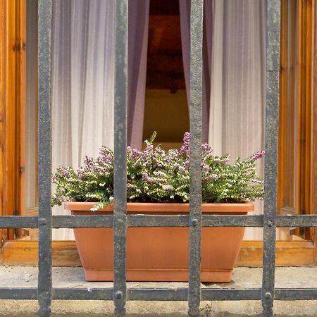 San Frediano District - Apartment Florence Luaran gambar
